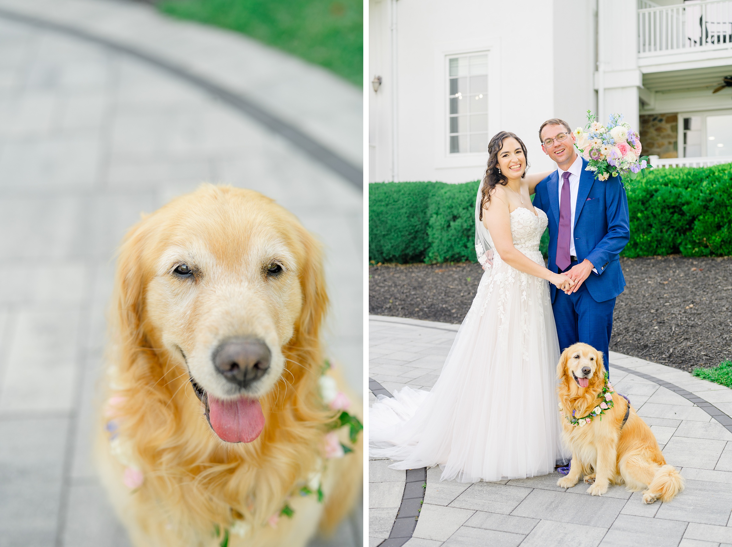 Newlywed Portraits at The View at Bluemont photographed by Baltimore Wedding Photographer Cait Kramer.