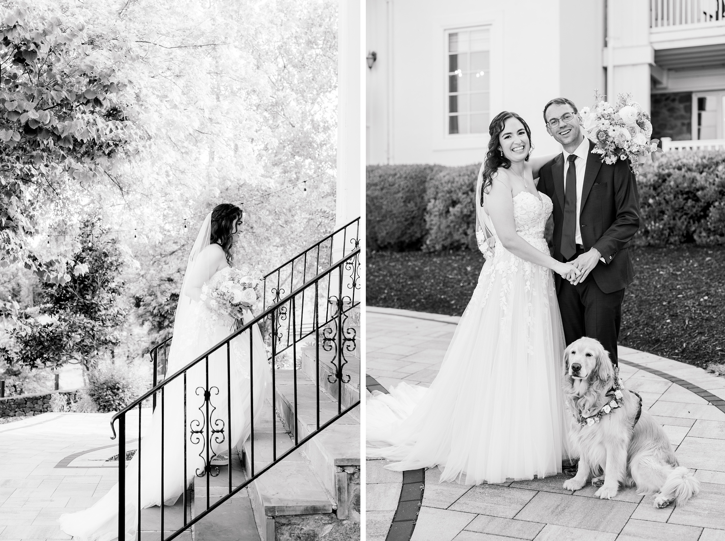 Newlywed Portraits at The View at Bluemont photographed by Baltimore Wedding Photographer Cait Kramer.