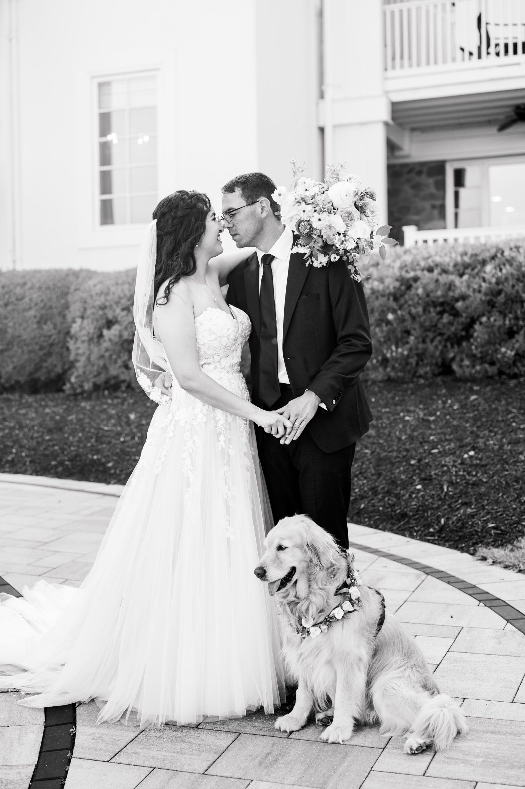Newlywed Portraits at The View at Bluemont photographed by Baltimore Wedding Photographer Cait Kramer.