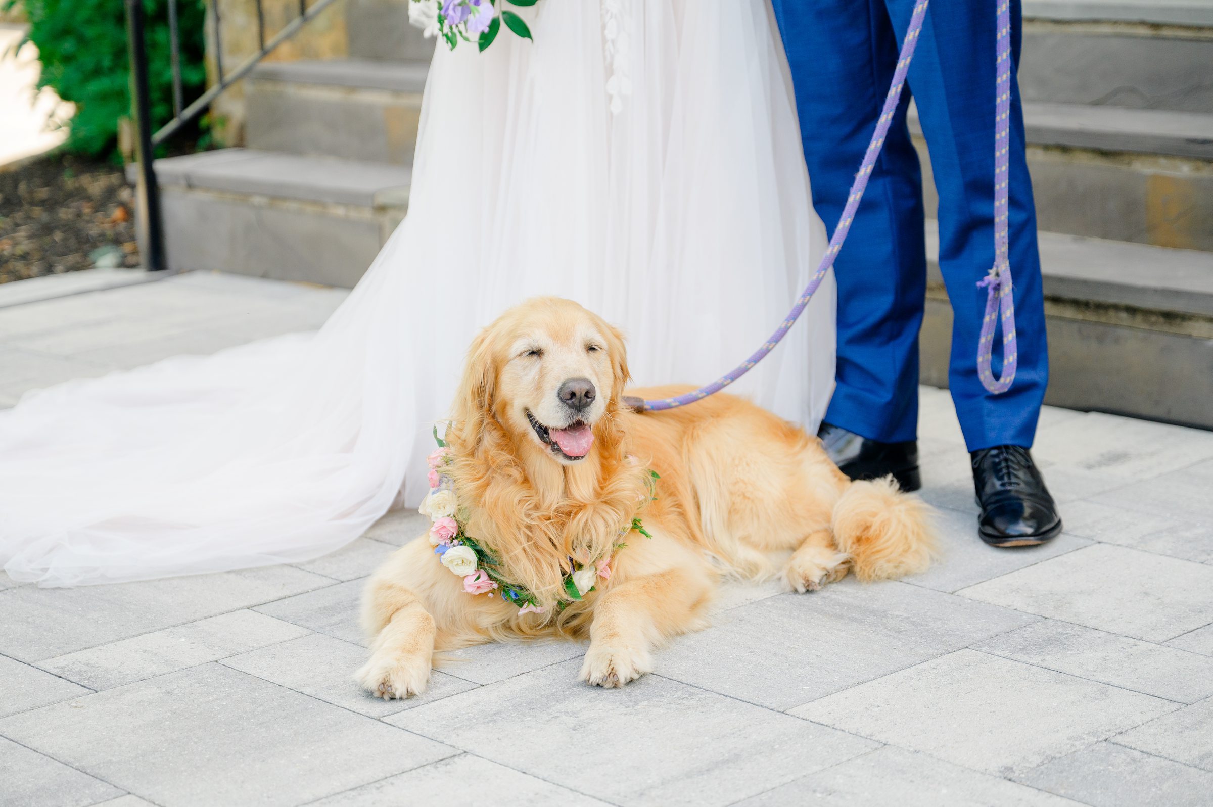 Newlywed Portraits at The View at Bluemont photographed by Baltimore Wedding Photographer Cait Kramer.