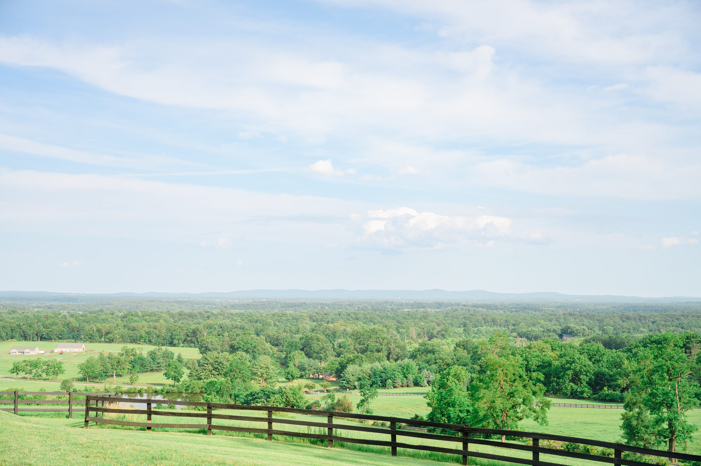 Newlywed Portraits at The View at Bluemont photographed by Baltimore Wedding Photographer Cait Kramer.