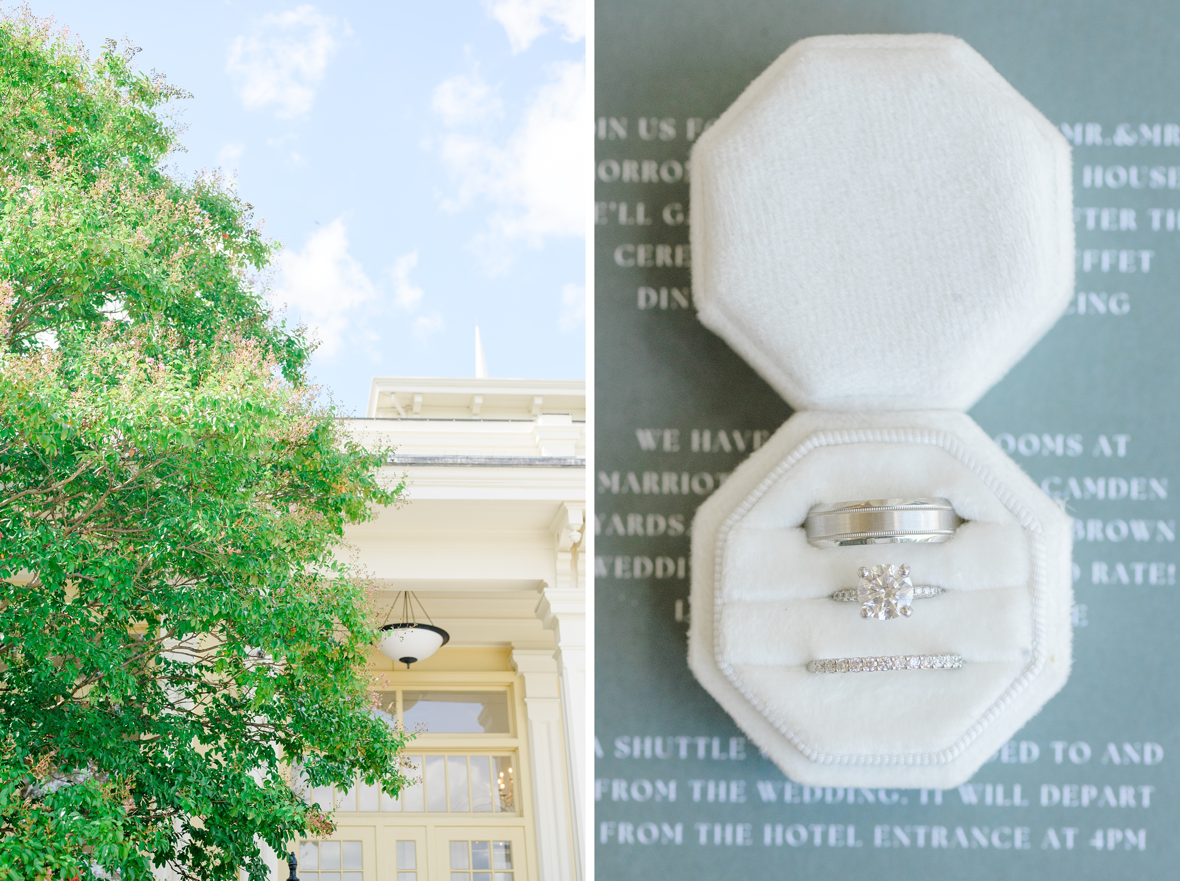 Details for Maryland Zoo wedding photographed by Baltimore Wedding Photographer Cait Kramer.