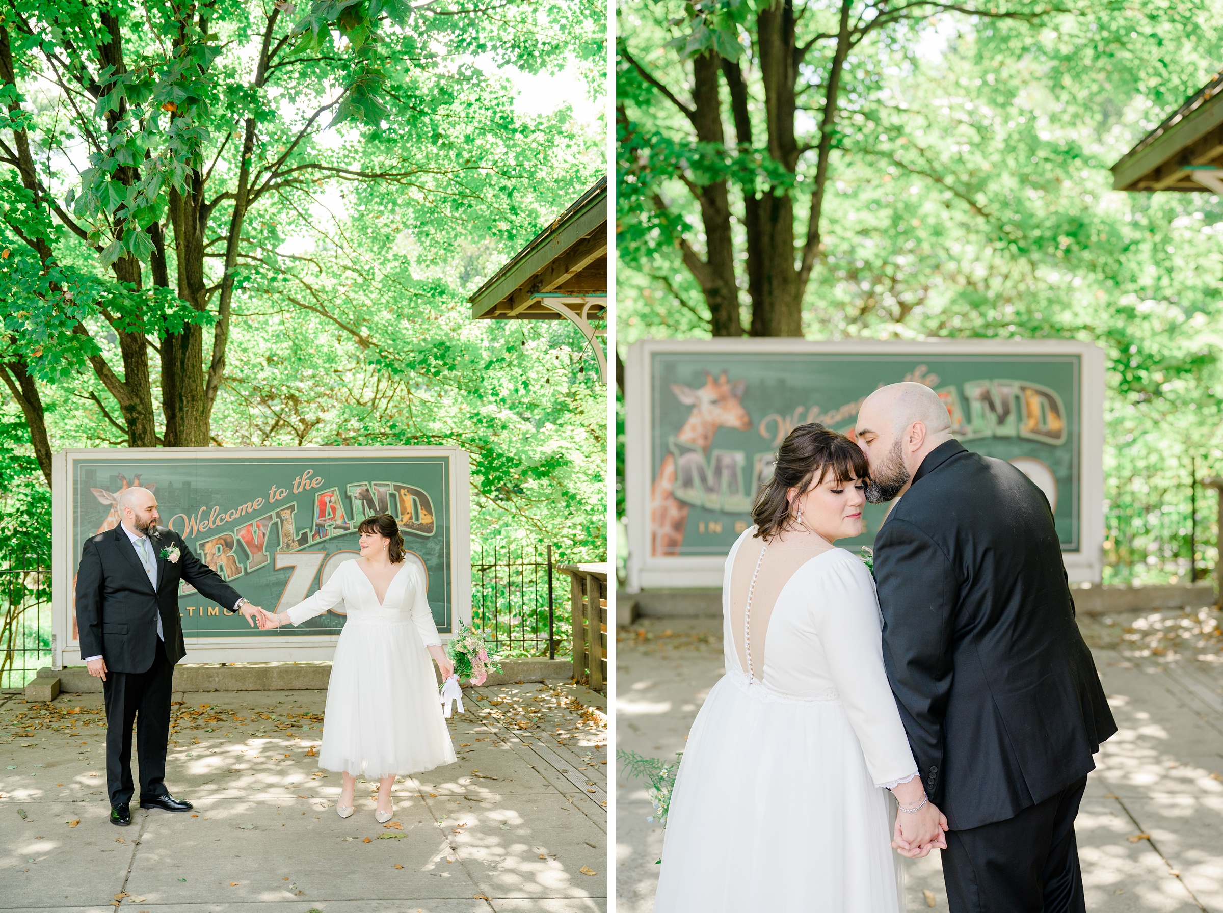 Bride and Groom portraits at Maryland Zoo wedding photographed by Baltimore Wedding Photographer Cait Kramer.