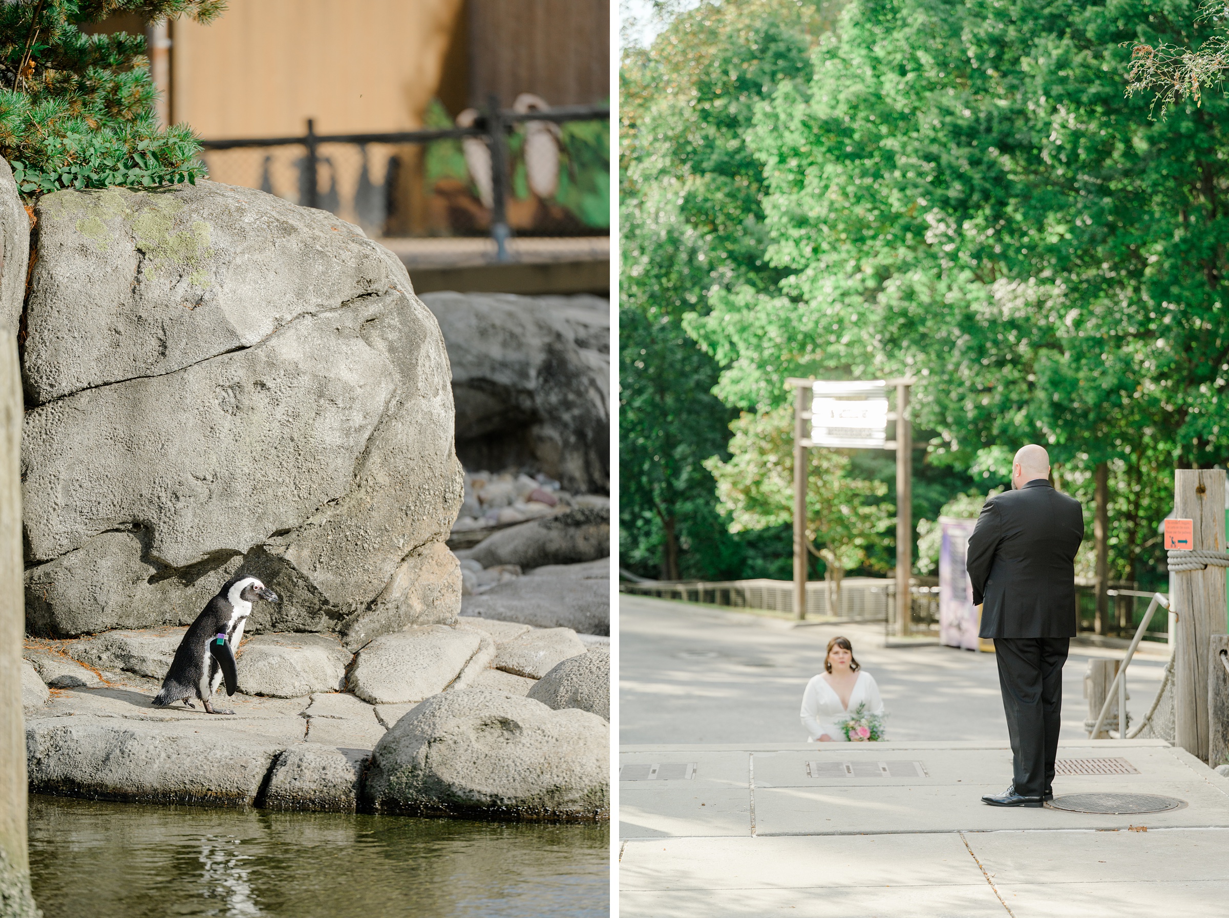 Wedding Ceremony at the Maryland Zoo photographed by Baltimore Wedding Photographer Cait Kramer.