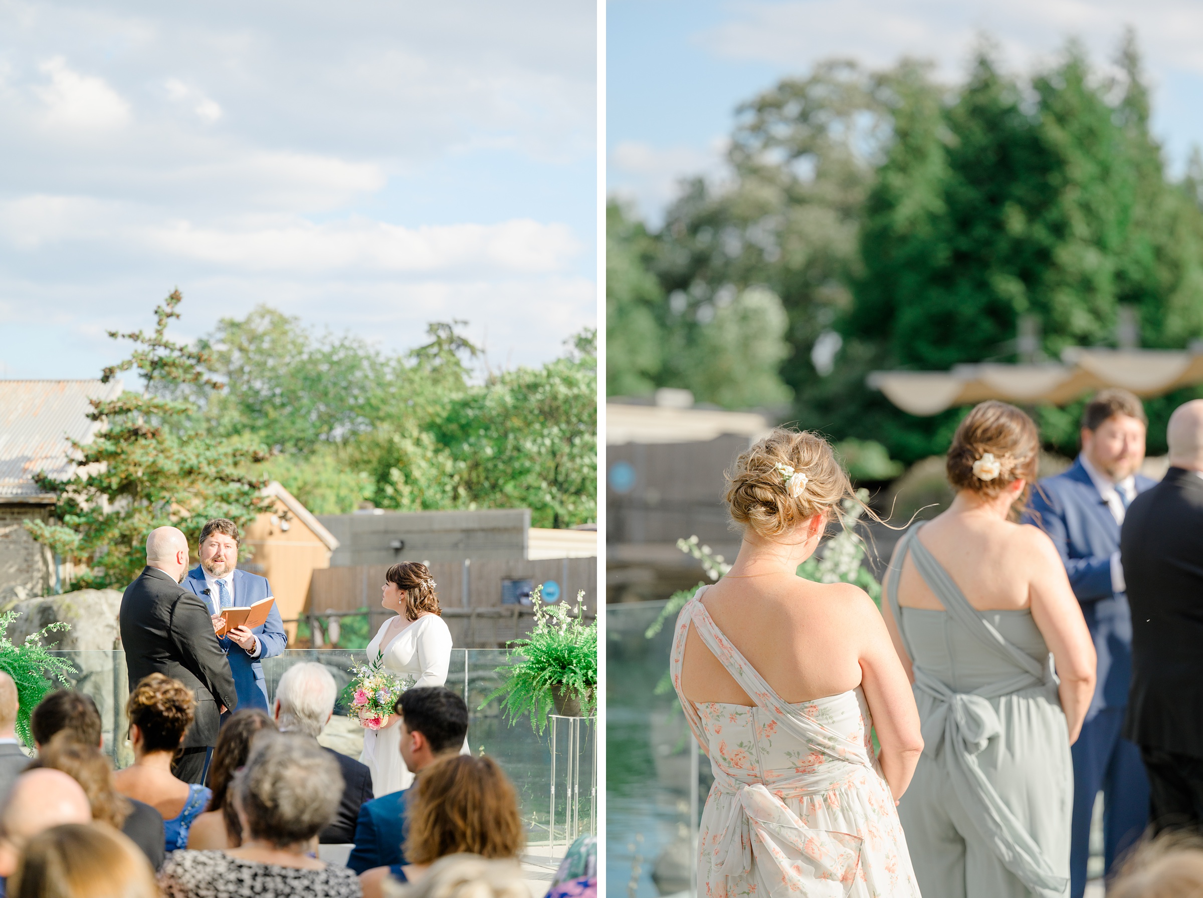 Wedding Ceremony at the Maryland Zoo photographed by Baltimore Wedding Photographer Cait Kramer.