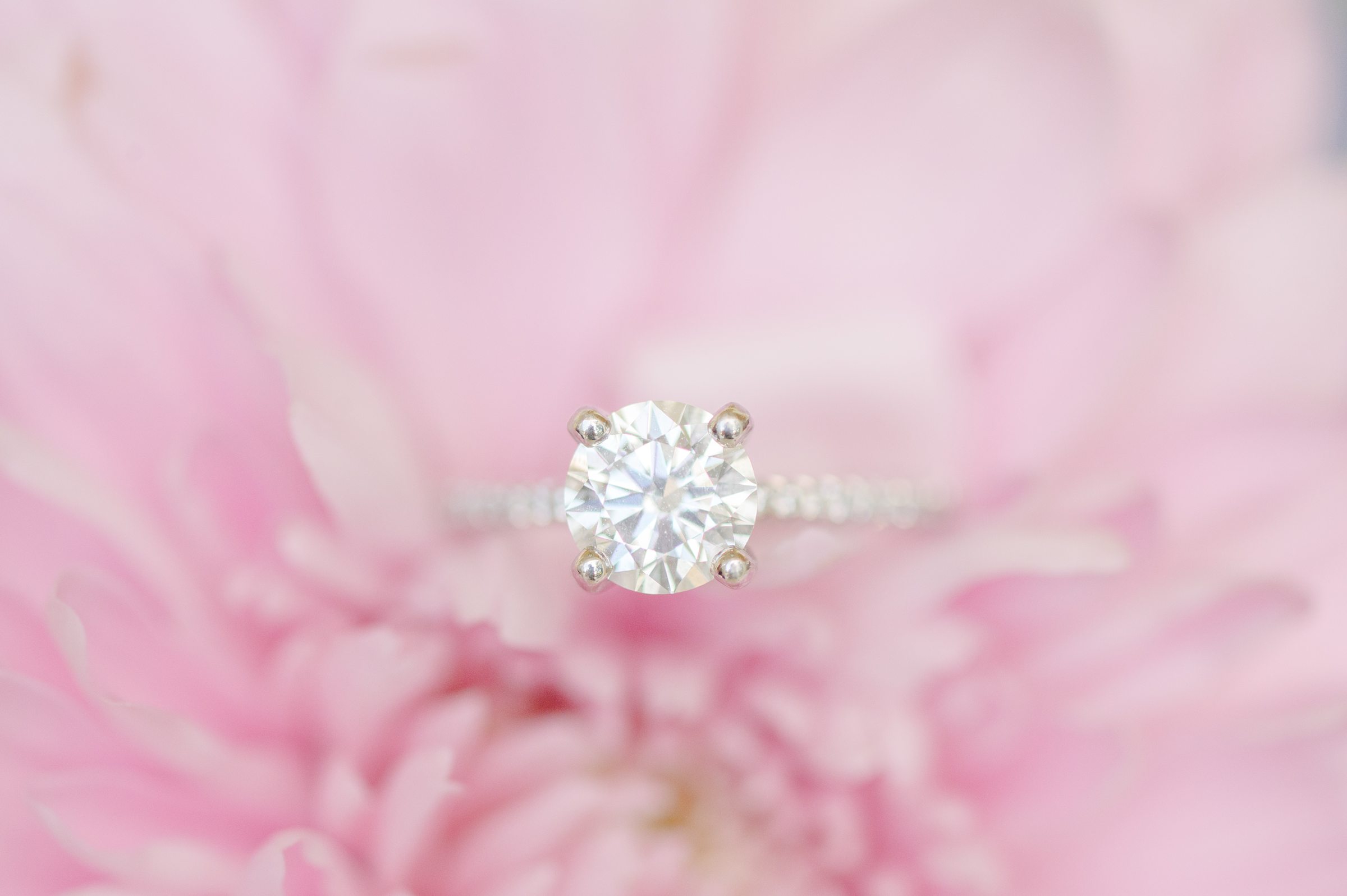 Wedding Ring details photo