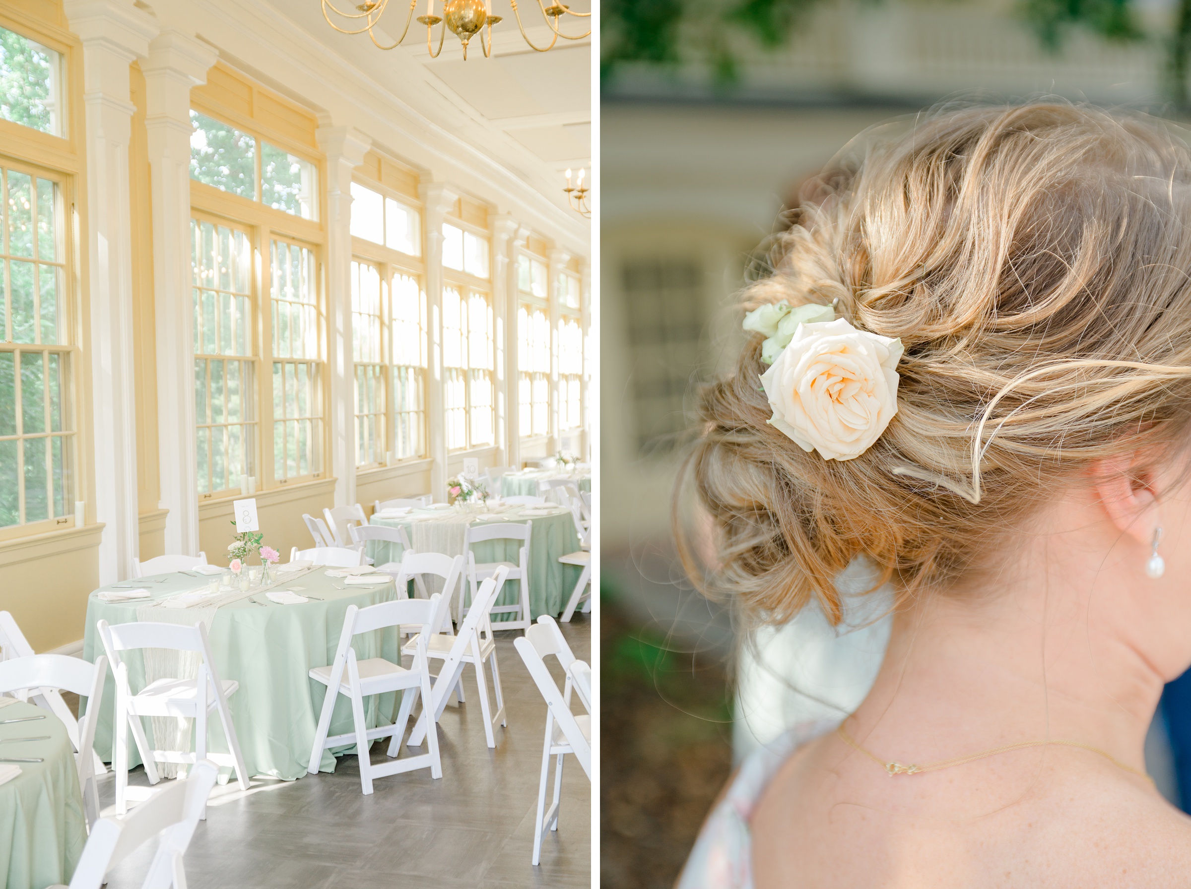 Wedding Reception at the Maryland Zoo photographed by Baltimore Wedding Photographer Cait Kramer.
