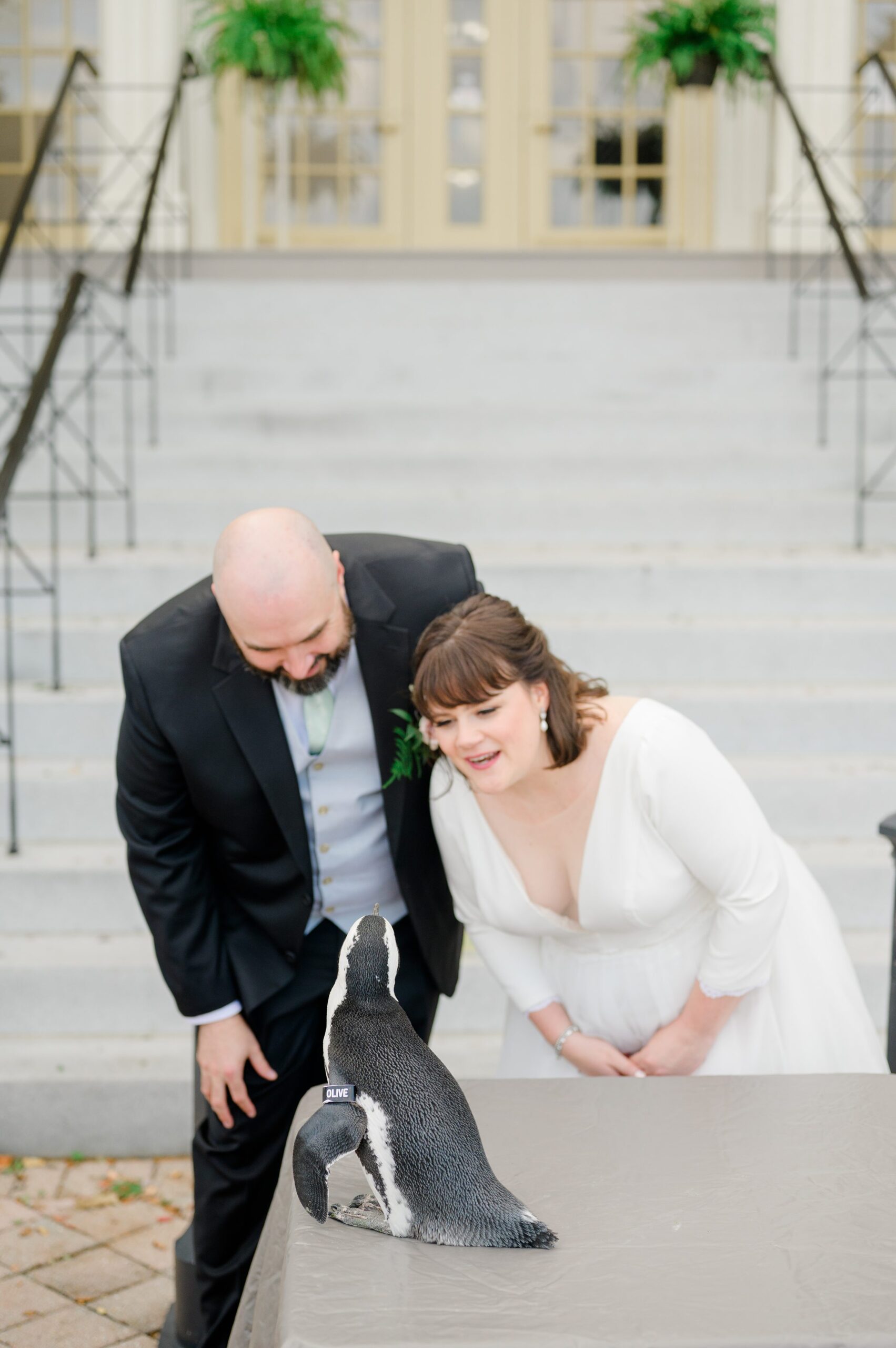 Wedding Reception at the Maryland Zoo photographed by Baltimore Wedding Photographer Cait Kramer.