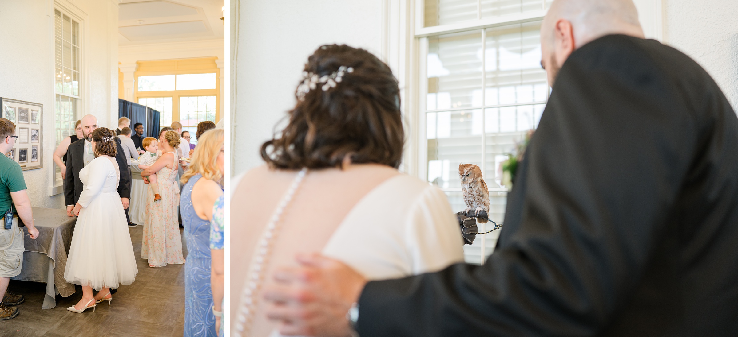 Wedding Reception at the Maryland Zoo photographed by Baltimore Wedding Photographer Cait Kramer.
