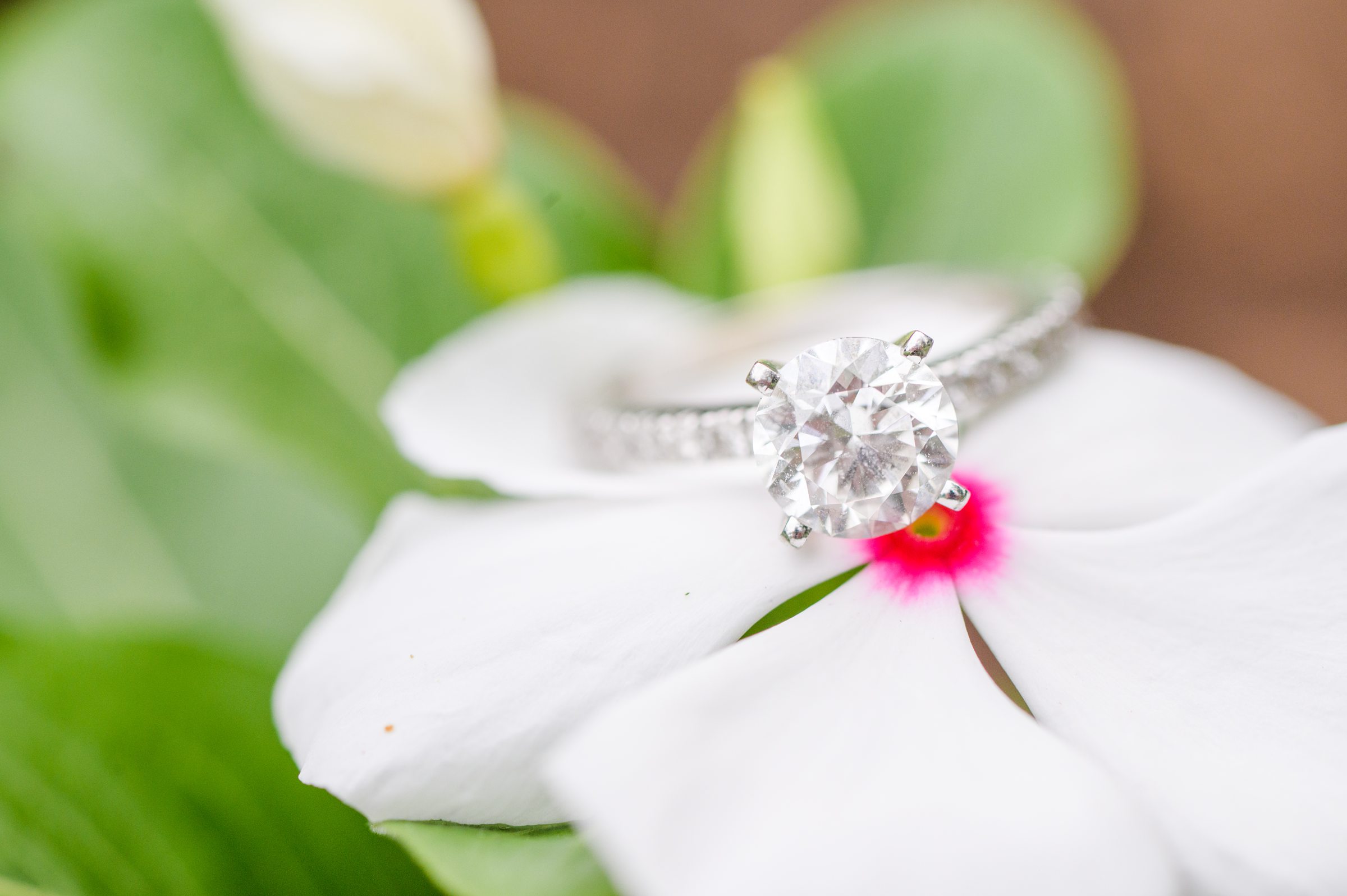 Round Engagement Ring in Sherwood Gardens engagement session photographed by Maryland Wedding Photographer Cait Kramer Photography