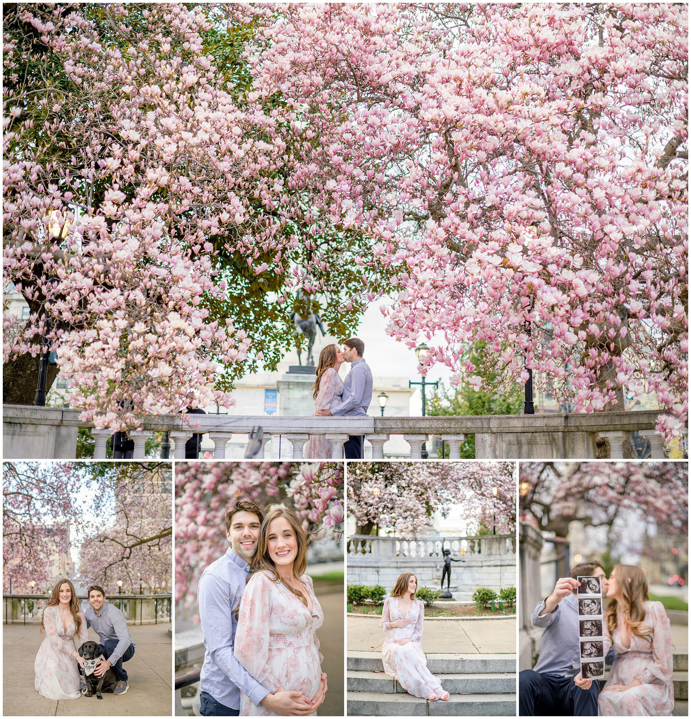 Meg and Sean's maternity photos in Baltimore featuring stunning pink magnolia trees by Baltimore Photographer Cait Kramer Photography