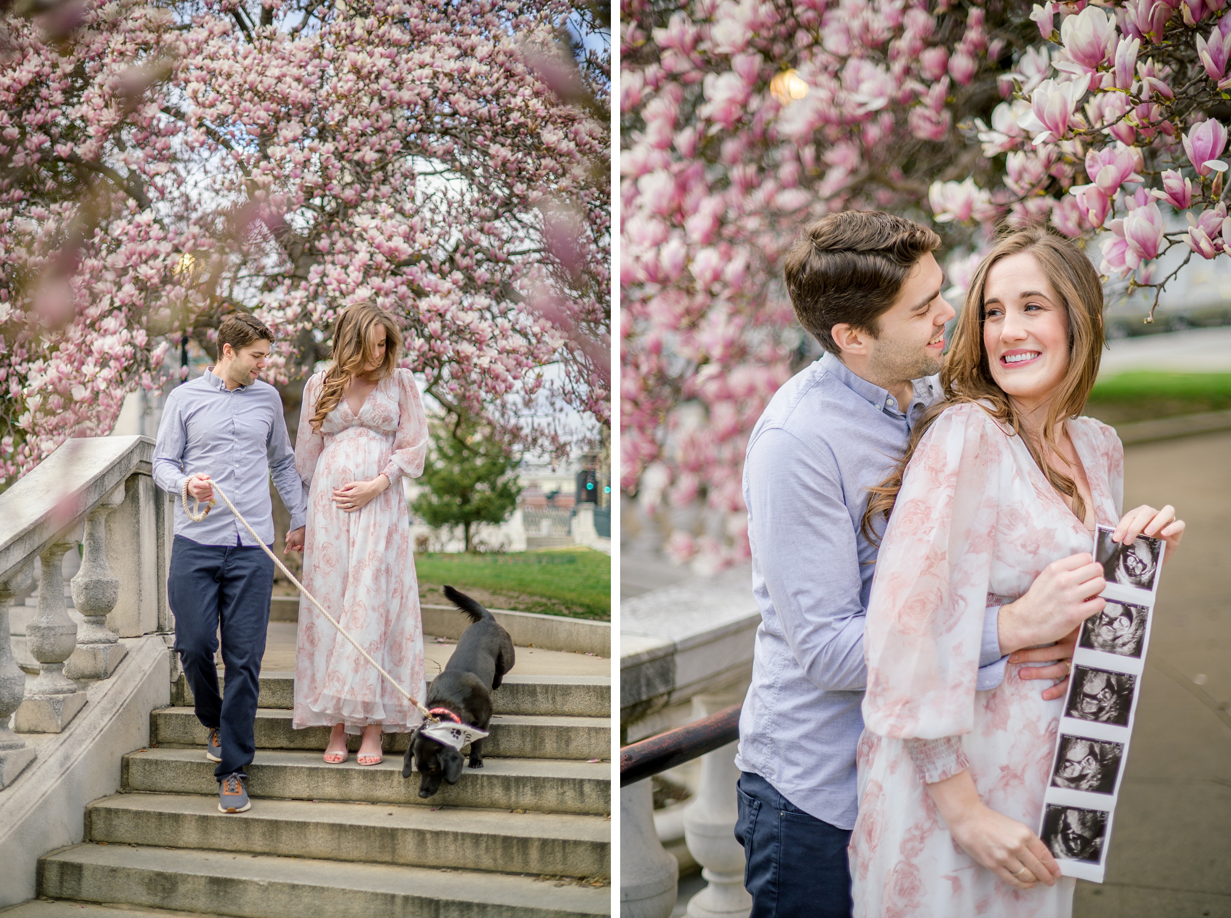 Meg and Sean's maternity photos in Baltimore featuring stunning pink magnolia trees by Baltimore Photographer Cait Kramer Photography