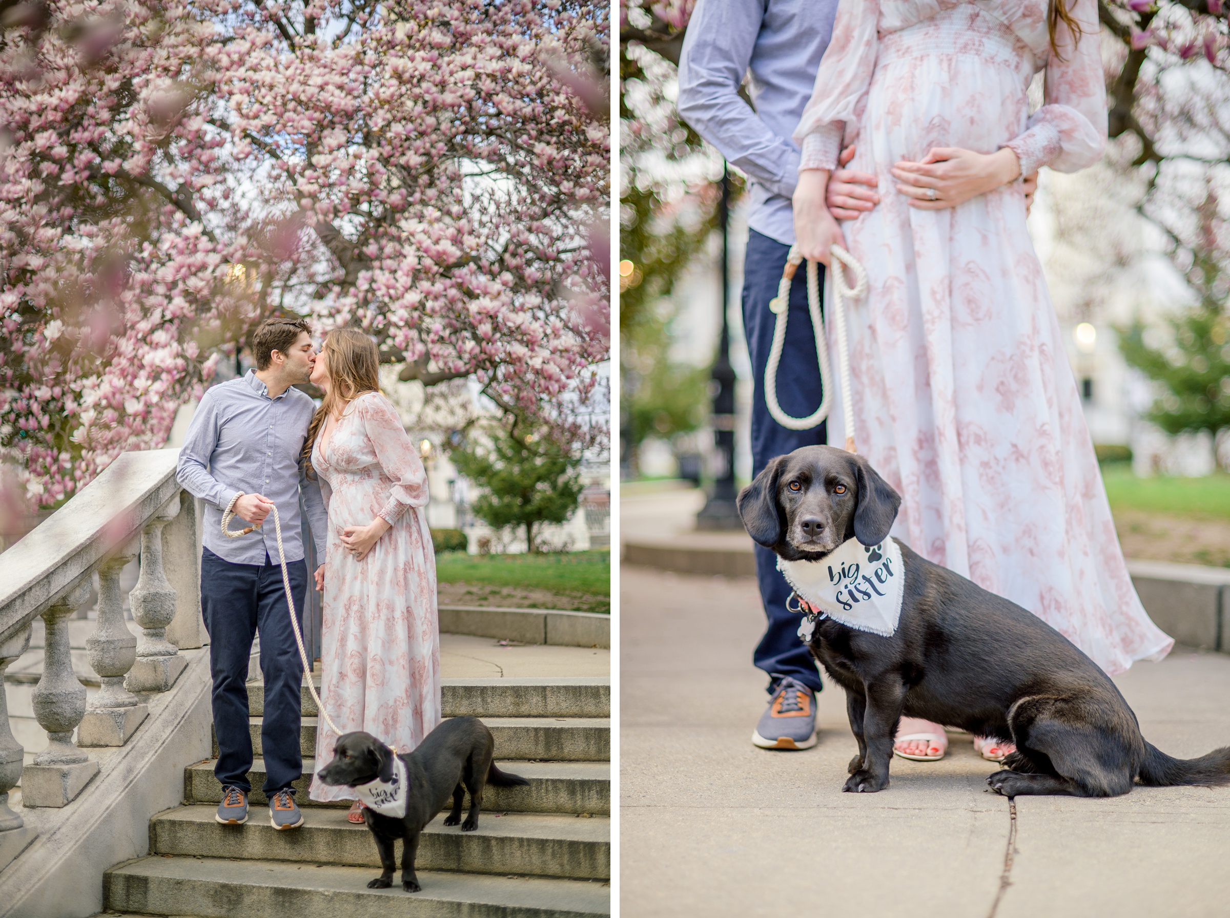 Meg and Sean's maternity photos in Baltimore featuring stunning pink magnolia trees by Baltimore Photographer Cait Kramer Photography