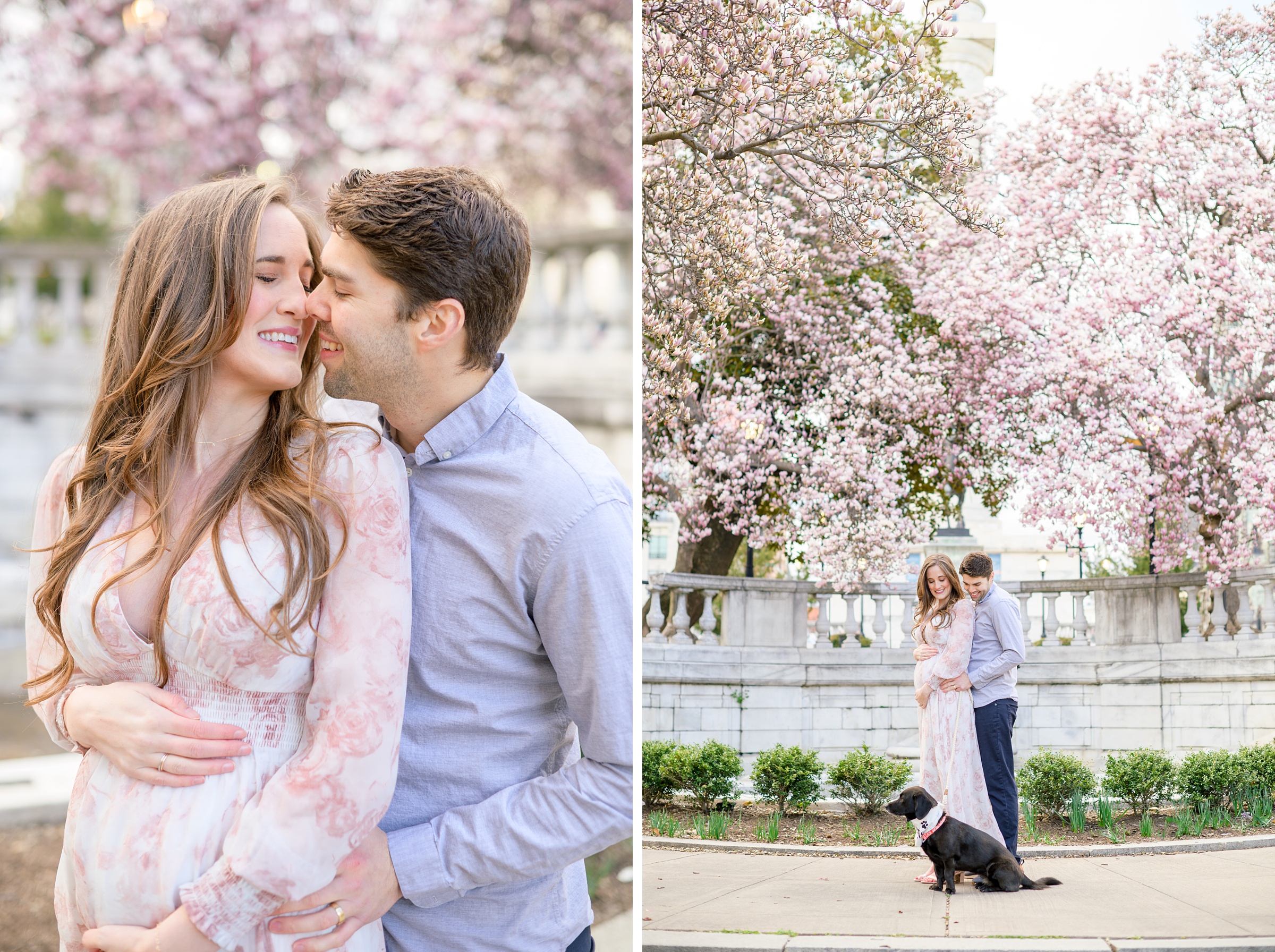 Meg and Sean's maternity photos in Baltimore featuring stunning pink magnolia trees by Baltimore Photographer Cait Kramer Photography