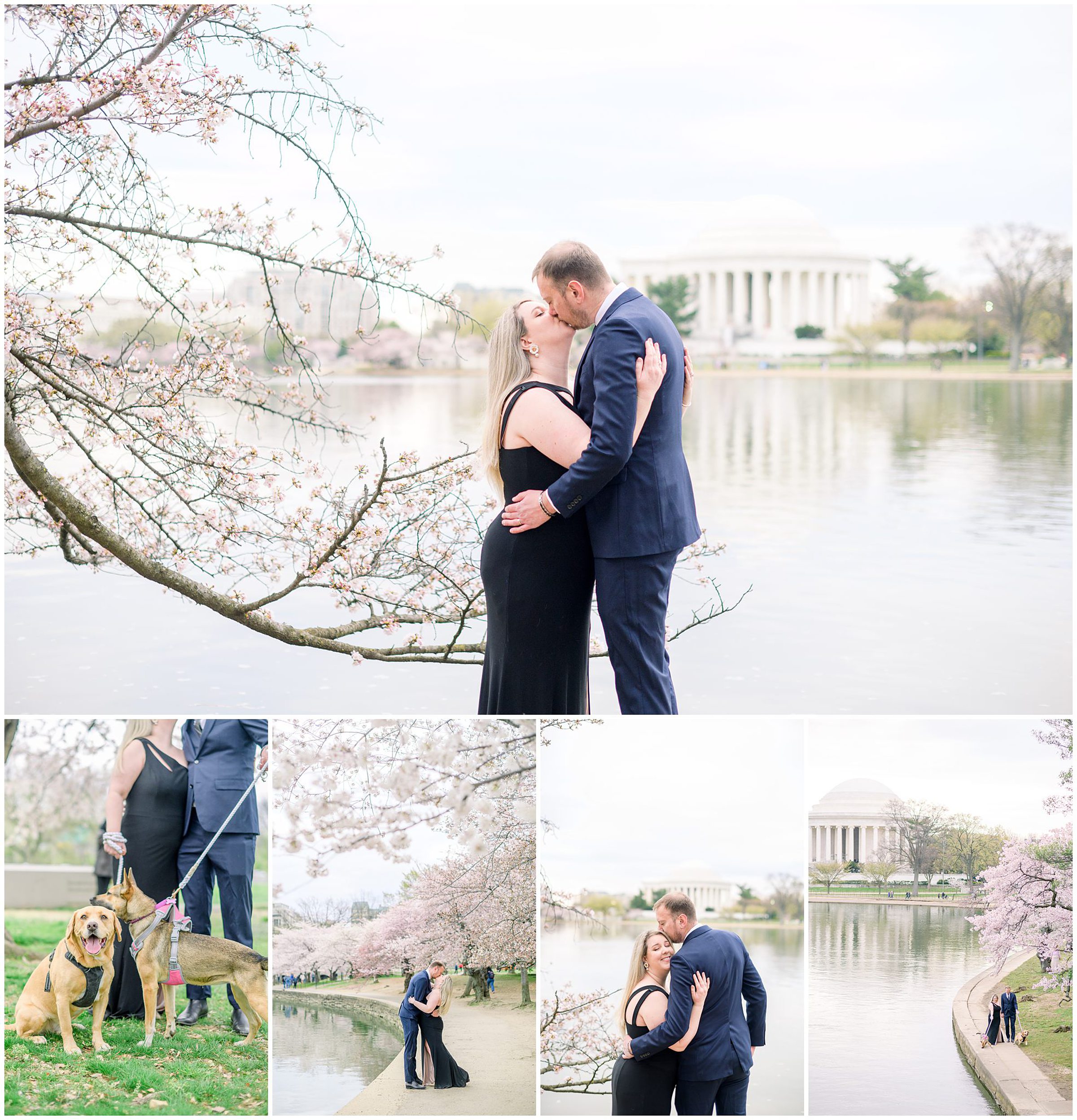 Cherry Blossom portrait session at the Jefferson Memorial in Washington DC photographed by Baltimore Wedding Photographer Cait Kramer Photography