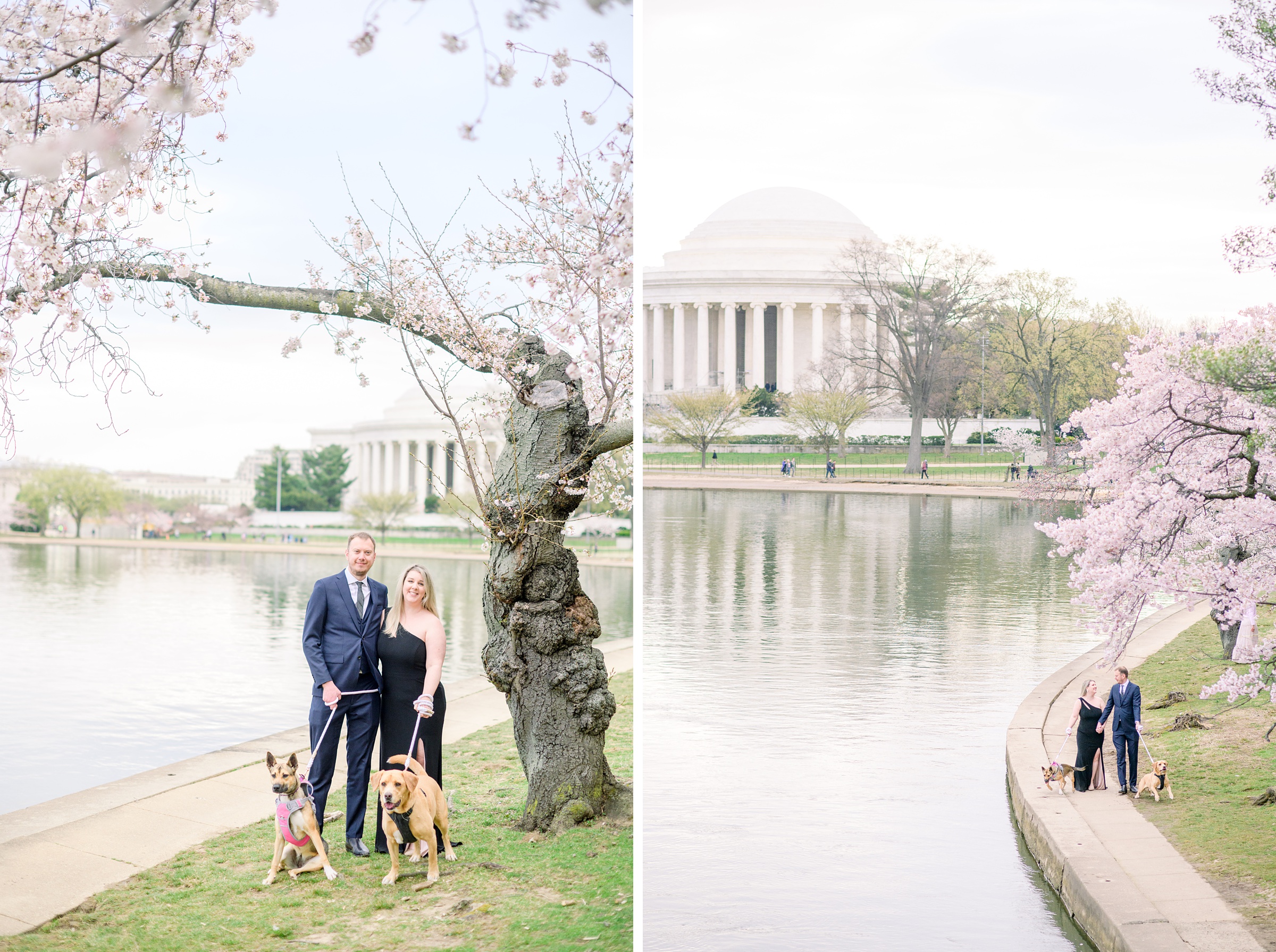 Cherry Blossom portrait session at the Jefferson Memorial in Washington DC photographed by Baltimore Wedding Photographer Cait Kramer Photography