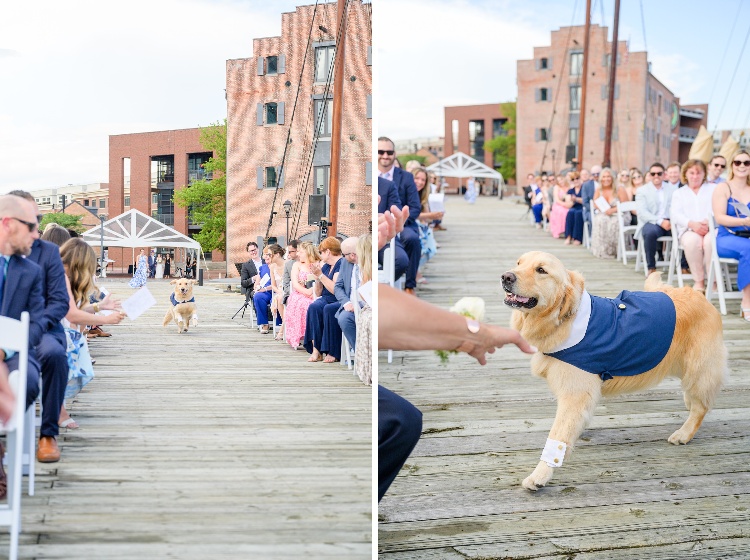 Sage Green and Navy Blue summer wedding at the Frederick Douglass Maritime Museum in Baltimore, Maryland. Photographed by Baltimore Wedding Photographer Cait Kramer Photography