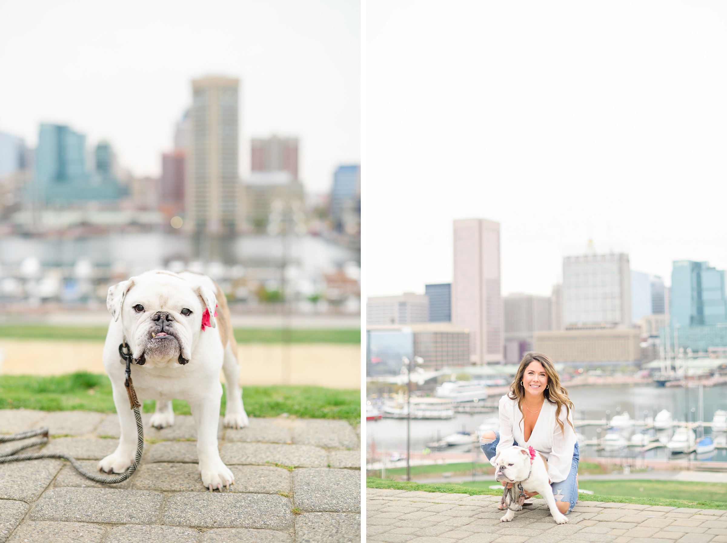 Baltimore Pet Portrait mini session with Lindsey and her English Bulldog, Molly at Federal Hill Park in Baltimore, MD