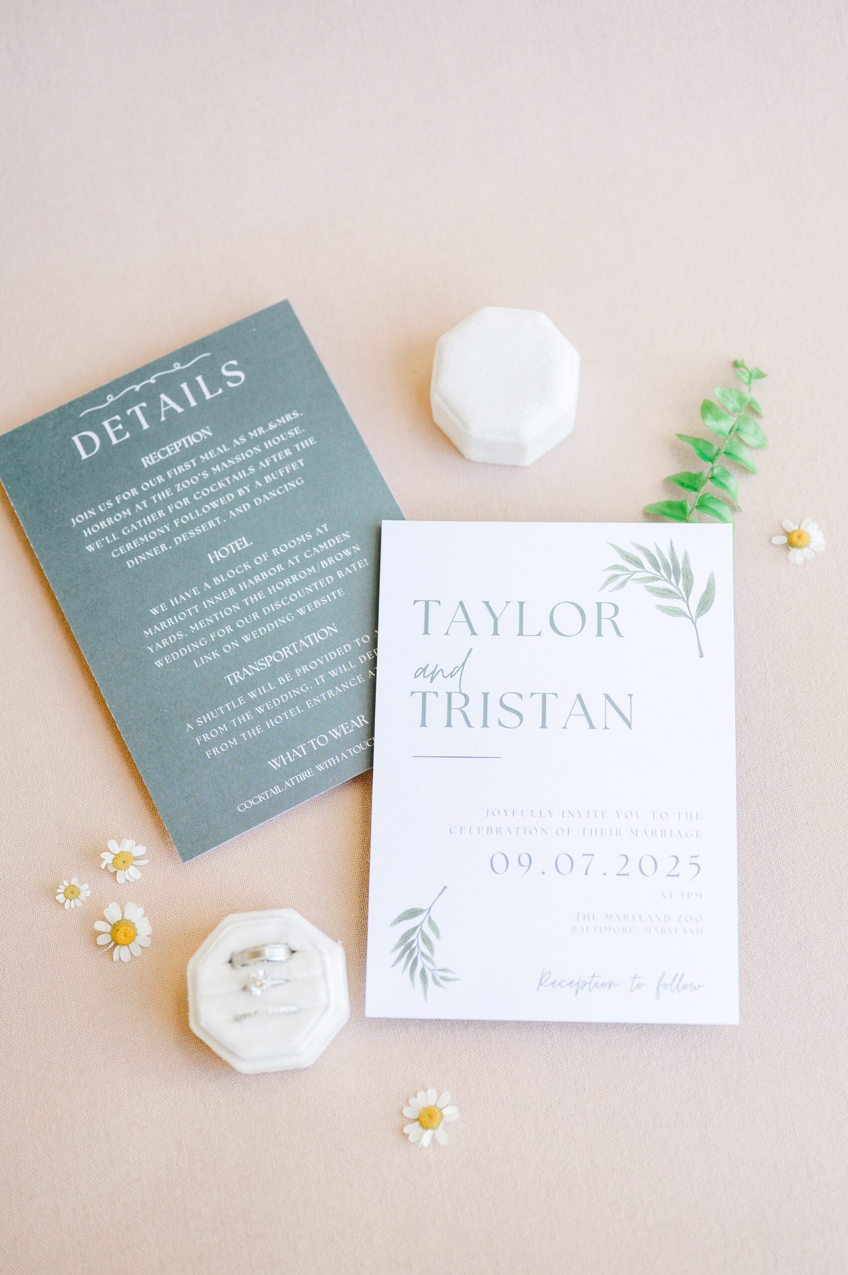 Invitation details for Maryland Zoo wedding photographed by Baltimore Wedding Photographer Cait Kramer.